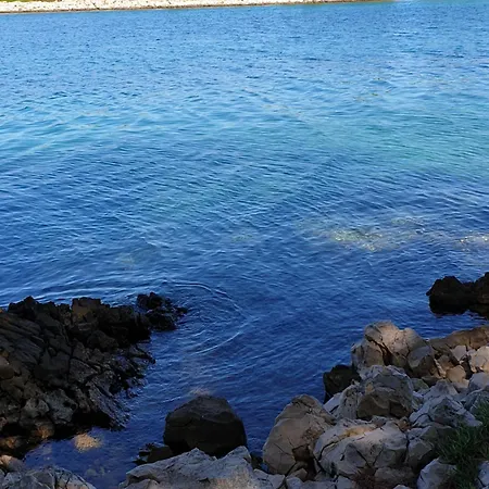 Velika Obala 비빈제