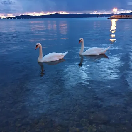 Velika Obala Bibinje