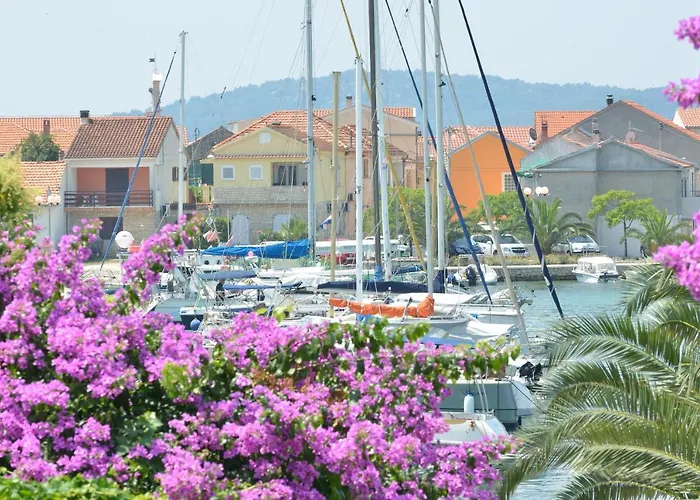 Apartman Velika Obala Bibinje